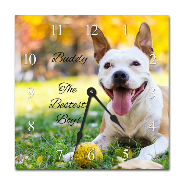 Let your pet always watch over your with a custom metal wall clock featuring a picture of your friend