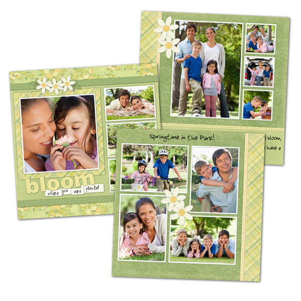 Our variety of styles and custom options are sure to make your scrapbook photos pop.