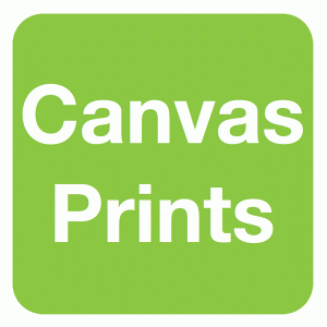 Transform your digital images into canvas in minutes with our free canvas photo app.