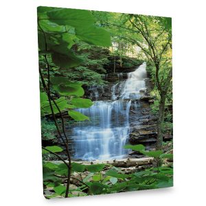 Introduce tranquility into your daily life with our natural falls canvas print.